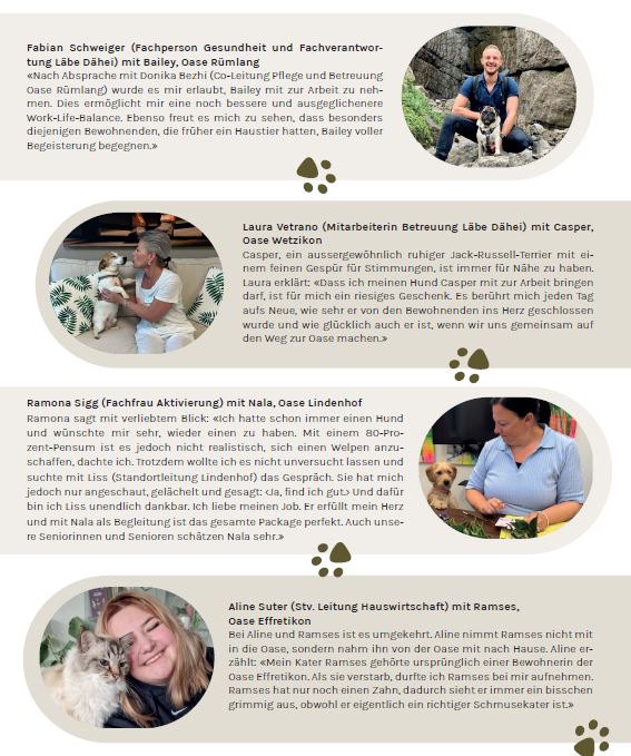 Hunde mit zur Arbeit bringen